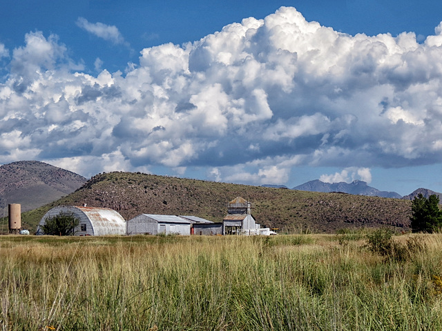 Cattle Ranch