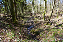 Impressionen eines Frühlingsspaziergangs