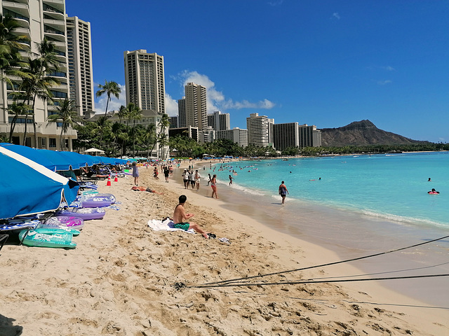 Waikiki Beach