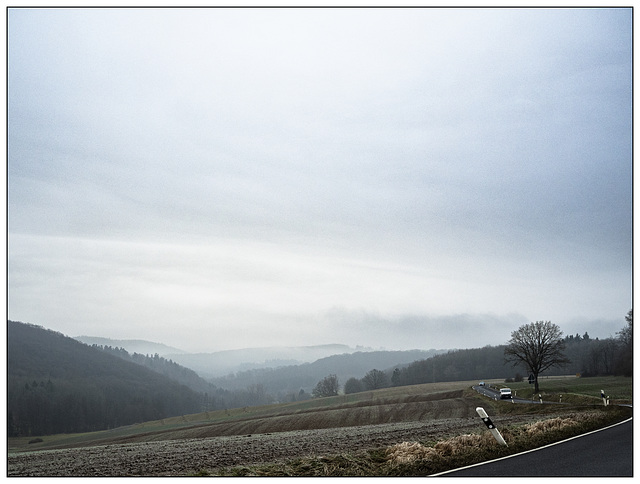 Nordpfälzer Bergland im Nebel