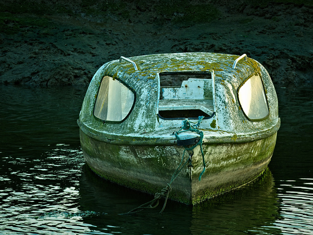Alone and Neglected