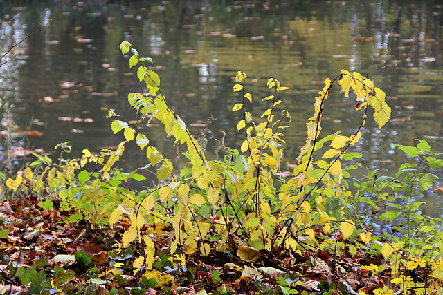 Herbst 2016