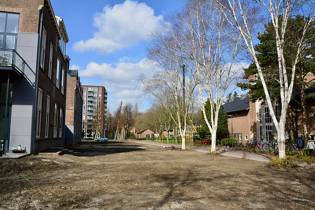 Schilperoort Park in development