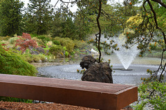 Die Bank im VanDusen-Garten