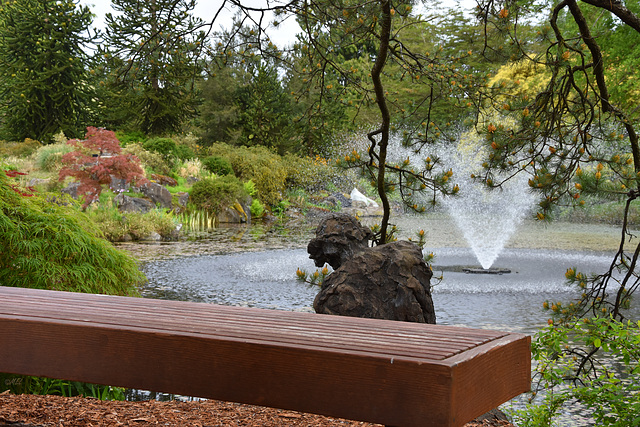 Die Bank im VanDusen-Garten