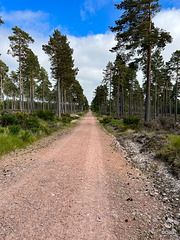 Long straight track to The Gut