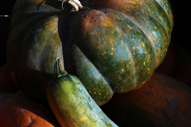 En 1572 le Massacre de la Saint-Barthélémy , et pour les citrouilles Halloween