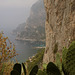 Capri GR 6