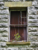 coalhouse fort, east tilbury, essex