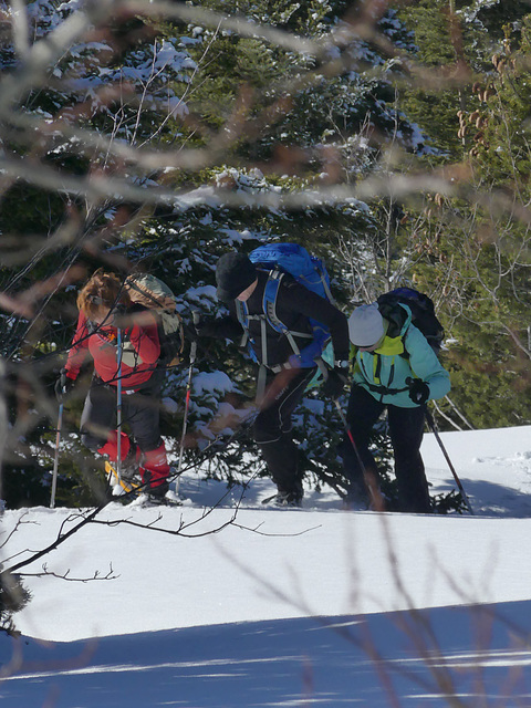 20180113 Raquettes Vercors Moucherotte (72) al