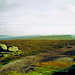 A view looking South along Derwent Edge (Scan from 1989)