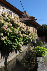 Yenne ( Savoie )