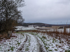 The track past Bridgeton Mains Farm