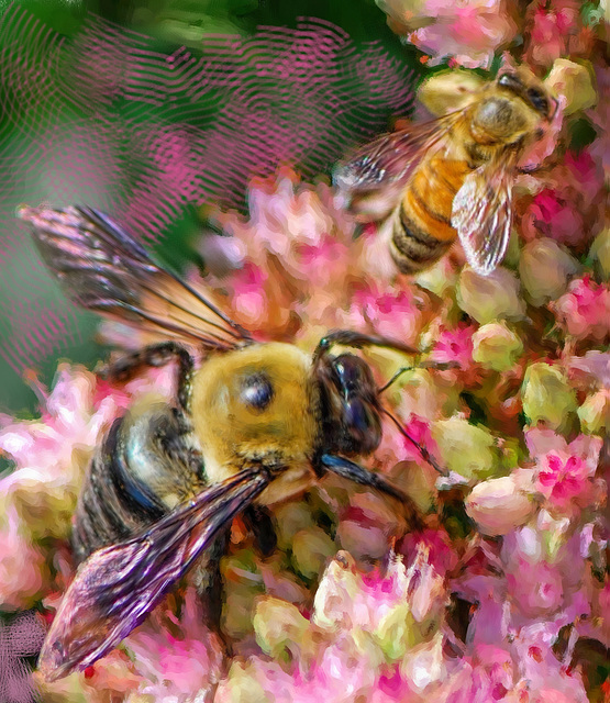 bee-painting