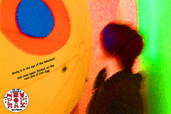 Nat Cat Egg New Pop Max 29 5 2025 Nat Cat Egg New Pop Max 29 5 2025