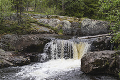 Unterwegs in Westschweden: von Idre nach Gäddede