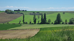 Une journée dans le Poitou !