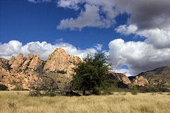 Sheepshead Granite Dome