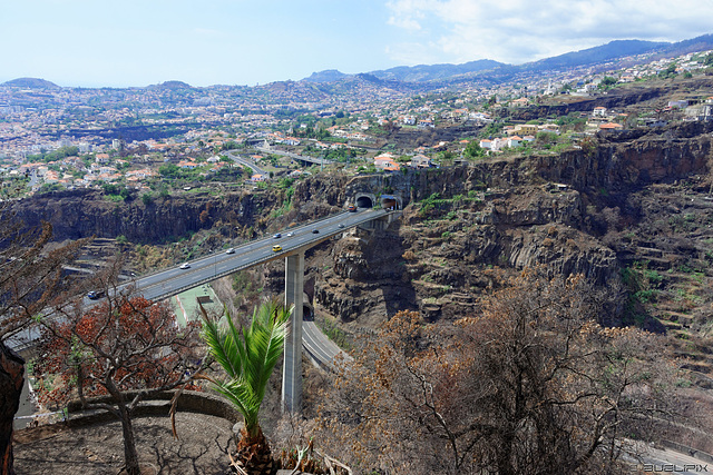 leider blieb auch der Jardim Botânico da Madeira vom Feuer nicht verschont (© Buelipix)