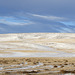 Palouse Wheat Fields