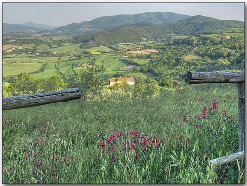 Memories of Tuscany: Fenced view to Volterra