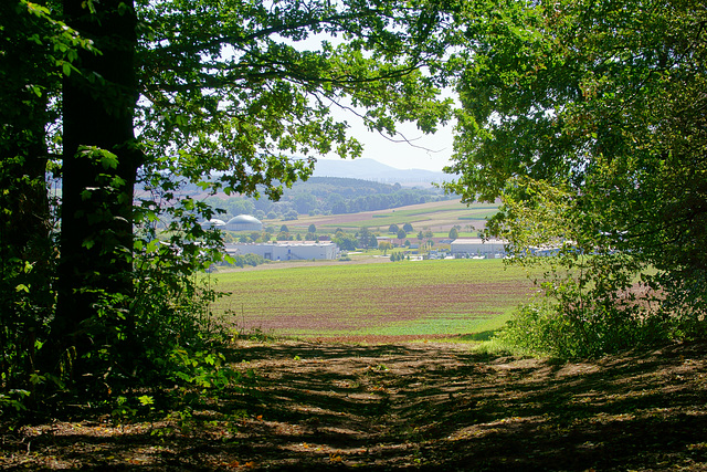 Sonniger Blick