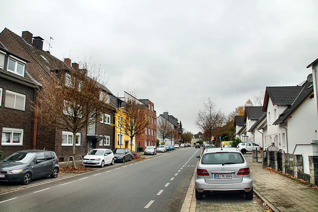 Von-Trotha-Straße (Oberhausen-Sterkrade) / 20.11.2021