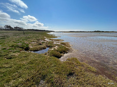 The Gut, a vast salty marshland between the Culbin Forest and the Culbin sandspits.