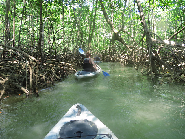 Kayaking in Costa Rica