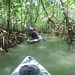 Kayaking in Costa Rica