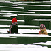 Berretto Rosso al Memoriale dell'Olocausto-Berlino