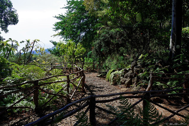 Jardim Botânico da Madeira (© Buelipix)