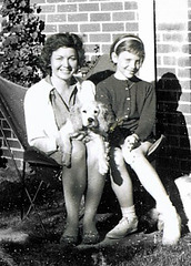 Puppy love, 1958