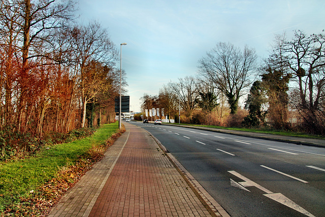 Ruhrorter Straße (Mülheim-Speldorf) / 7.01.2023