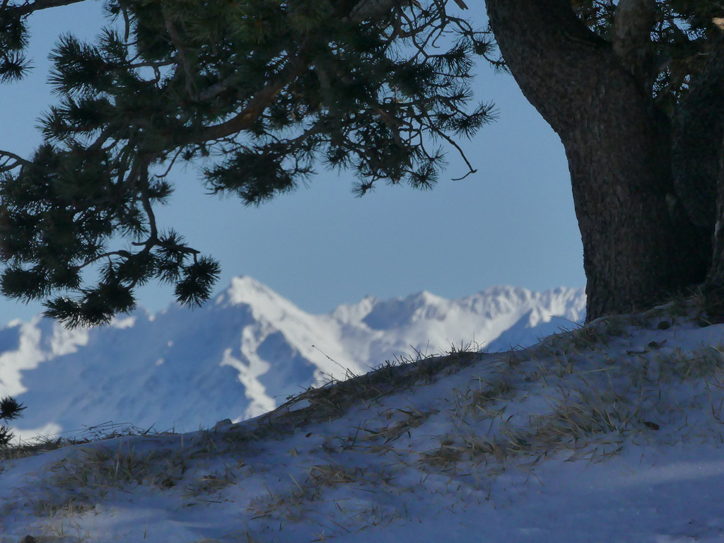 20180113 Raquettes Vercors Moucherotte (79) al