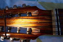 Charango strings - zart besaited