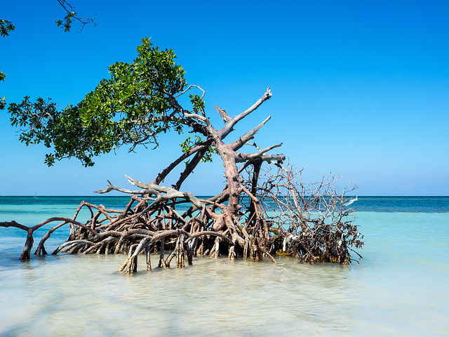 Cayo Jutías, Cuba