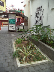 Fruits stall & graffitis (1)