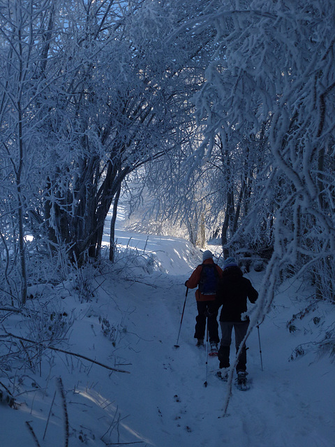 20150101 -03 Raquettes Vercors (24) al