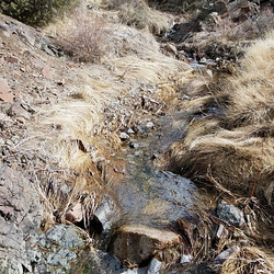 20190310 110109 001 20190310 110109 001