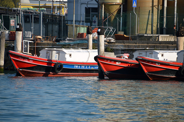 Transportboote in Venedig