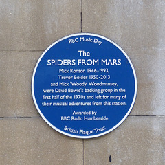 The Spiders From Hull - 28 October 2021
