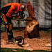 CHAIN SAW CARVING