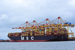 MSC PERLE
