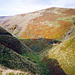Looking from Sheepfold Clough towards Foul Clough and Abbey Brook (Scan from 1989)