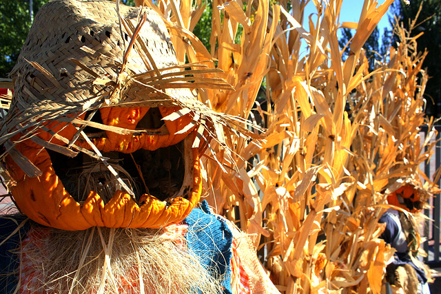 TRICK OR TREATING