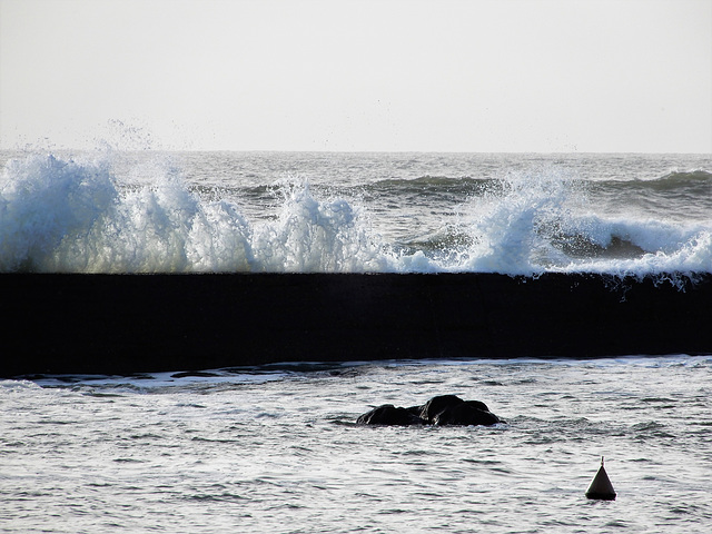 quand la mer danse doucement