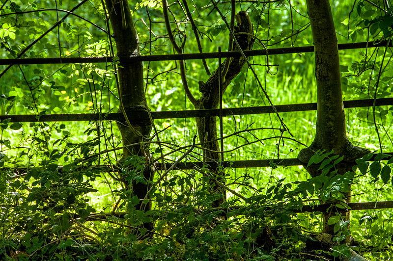 Parkland Fencing, Old Road