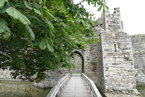 Beaumaris Castle