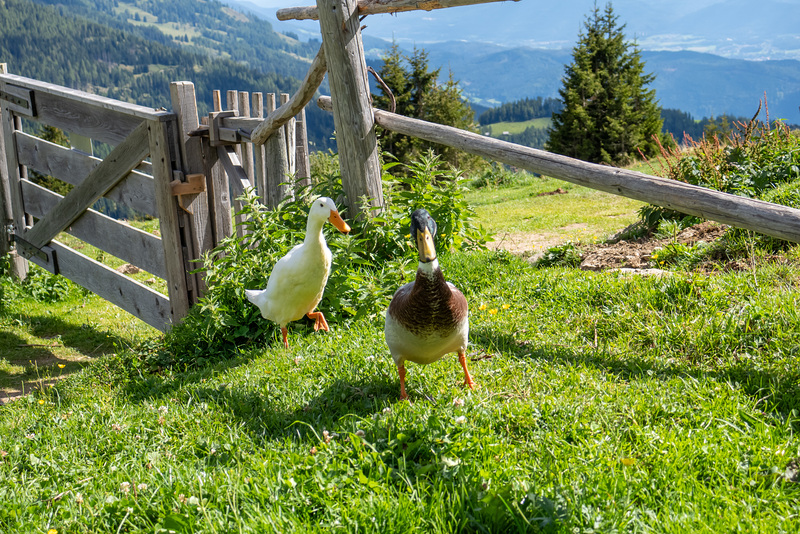 Millstatt-0104